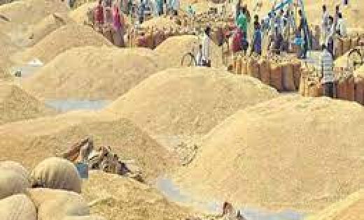 आधार आधारित पंजीयन नहीं कराने पर धान खरीदी के लिए पात्र नहीं... - CG Sandesh