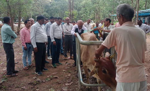 बसना : पशुप्रजनन एवं जागरूकता कार्यशाला में 248 पशुओं का उपच... - CG Sandesh