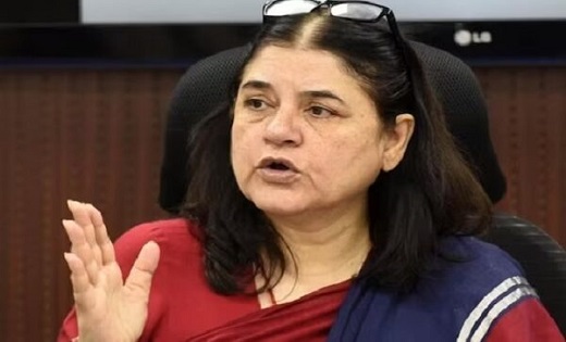 ‘इस्कॉन कसाइयों को बेचता है गाय’, मेनका गांधी ने लगाया बड़ा ... - CG Sandesh