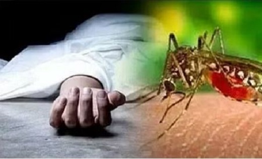 Dengue : डेंगू से स्वास्थ्यकर्मी की बेटी की मौत - CG Sandesh