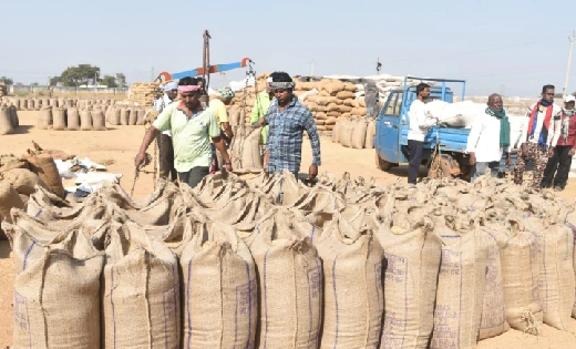 महासमुंद : किसानों  के लिये धान विक्रय संबंधी विशेष सूचना - CG Sandesh