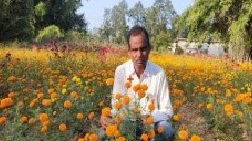 CG : उद्यान विभाग की योजना का लाभ उठाकर राज्य के किसान हो रह... - CG Sandesh