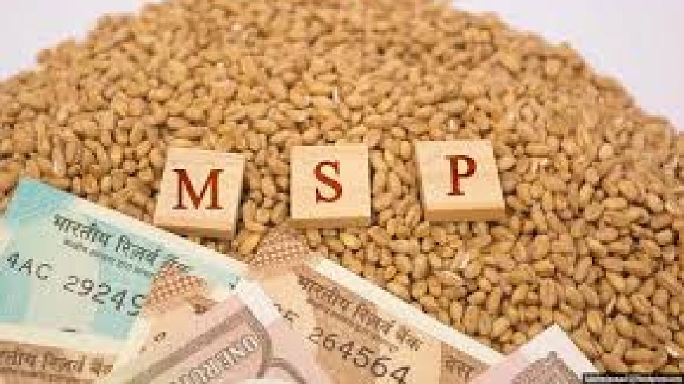 फसलों के न्यूनतम समर्थन मूल्य में वृद्धि... जानें किन फसलों ... - CG Sandesh