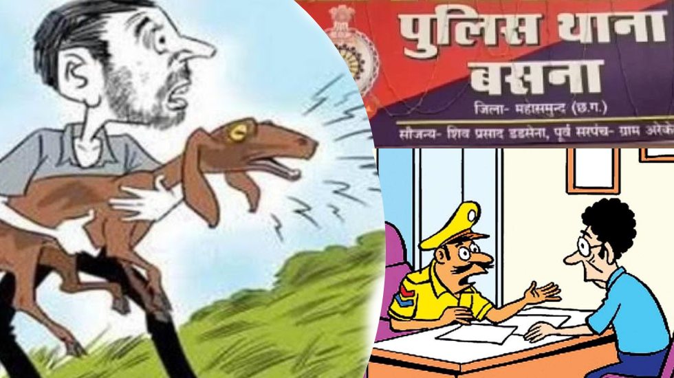 बसना : 14 बकरियां चोरी, अज्ञात के खिलाफ केस दर्ज - CG Sandesh