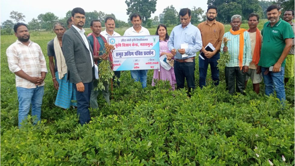महासमुंद : दलहन एवं तिलहन फसलों पर समूह अग्रिम पंक्ति प्रदर्... - CG Sandesh