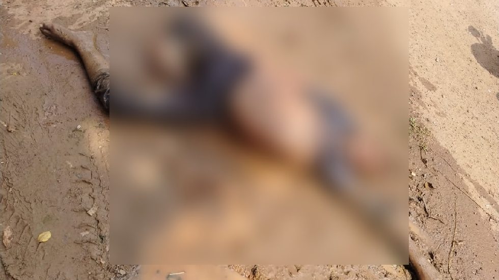 CG  : यात्री बस की चपेट में आने से बाइक सवार युवक की मौके पर... - CG Sandesh