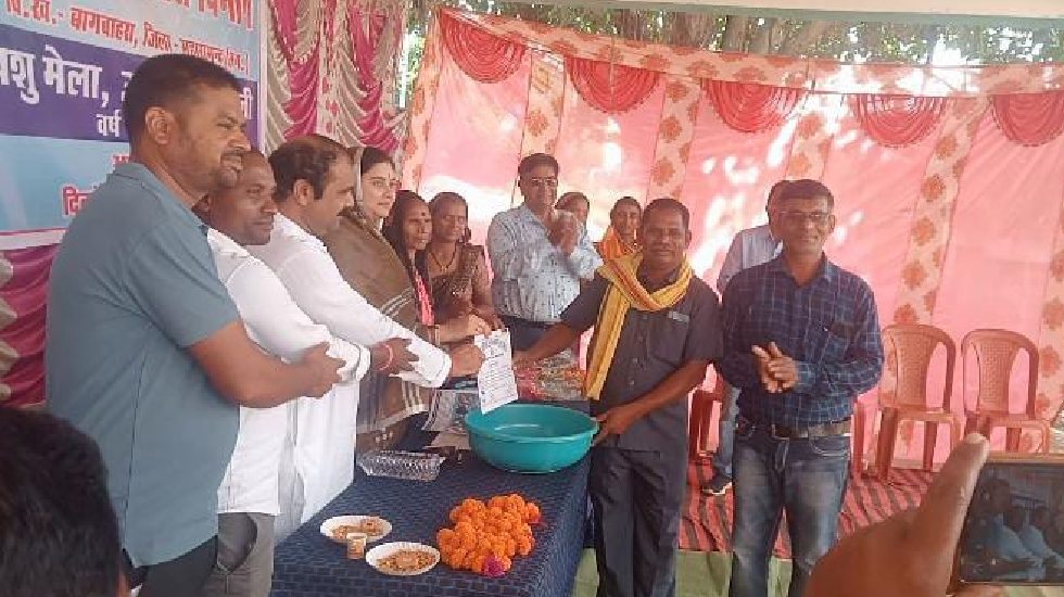 बागबाहरा : पशु मेला उत्सव एवं प्रदर्शनी का आयोजन - CG Sandesh