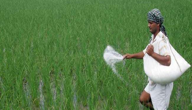 टिकाऊ कृषि को बढ़ावा देने के लिए प्रधानमंत्री-राष्ट्रीय कृषि... - CG Sandesh