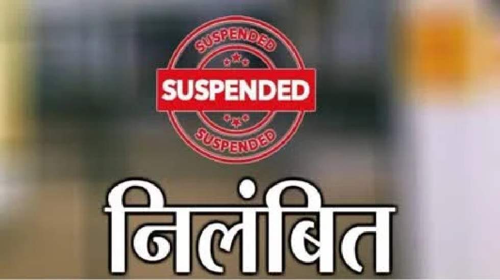CG : बाघ की मृत्यु की घटना पर मुख्यमंत्री के कड़े तेवर, वनरक्... - CG Sandesh