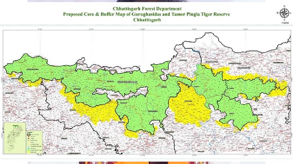 CG : गुरू घासीदास-तमोर पिंगला बना देश का 56वां टाइगर रिजर्व - CG Sandesh