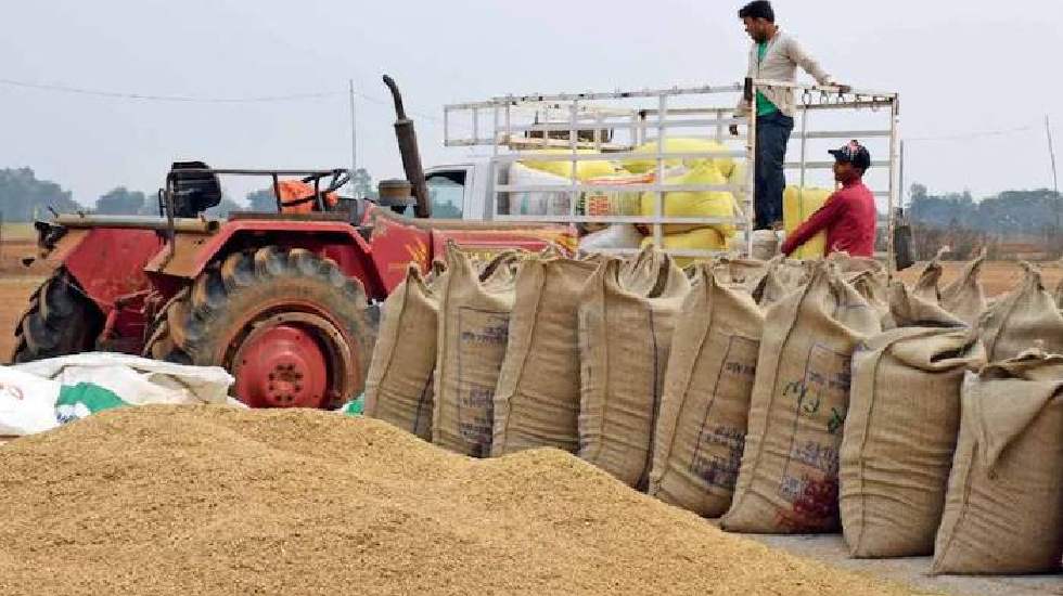 छत्तीसगढ़ में धान खरीदी का महाअभियान - CG Sandesh
