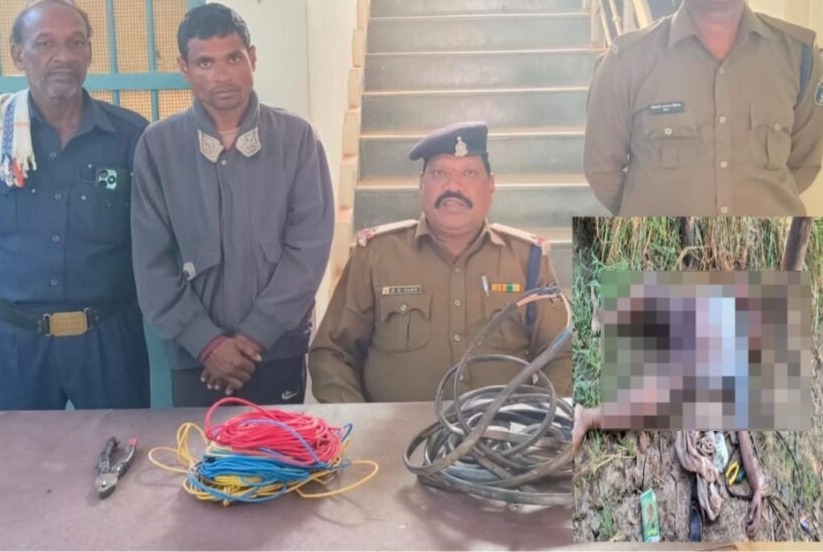 CG : फॉर्महाउस में चोरी करते पकड़ाने पर किसान की हत्या, 2 आर... - CG Sandesh