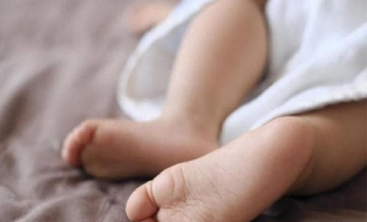 महासमुन्द : नवजात शिशु की मिली लाश