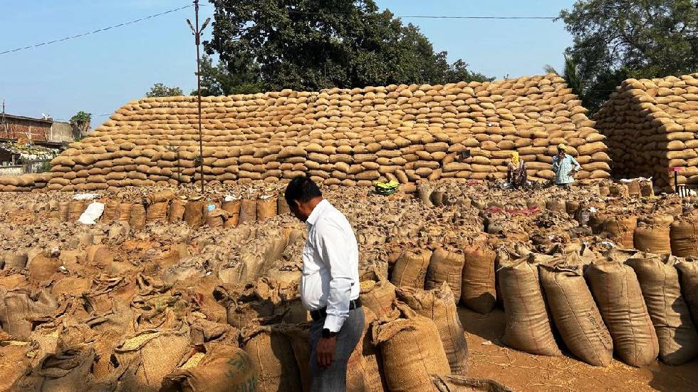 महासमुंद : अवैध धान परिवहन व भण्डारण पर सतत कार्रवाई जारी - CG Sandesh
