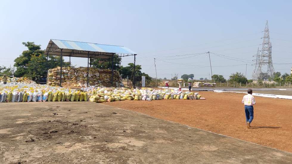 महासमुन्द : किसानों में धान खरीदी को लेकर उत्साह, इतने रुपए ... - CG Sandesh