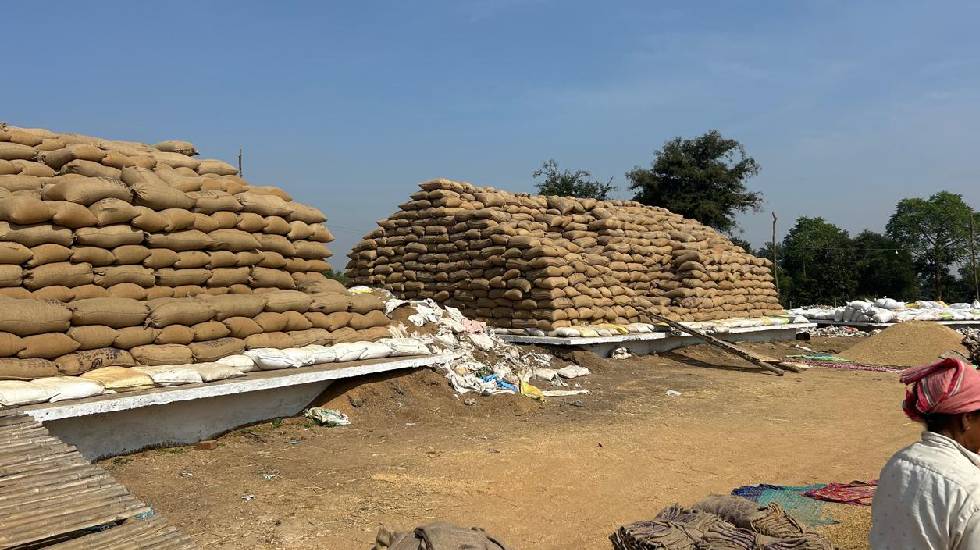 महासमुंद : जिले में समर्थन मूल्य पर धान खरीदी जोरों पर : अब ... - CG Sandesh