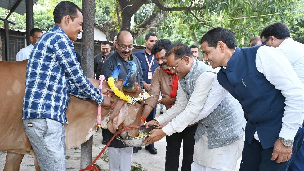 CG : मुख्यमंत्री साय ने गोवर्धन पूजा के अवसर पर की गौ वंश की... - CG Sandesh