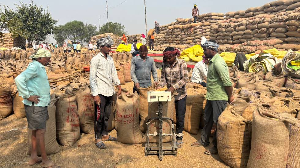 महासमुंद में धान खरीदी में प्रगति, किसानों को मिल रहा बेहतर ... - CG Sandesh