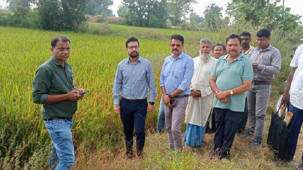 महासमुंद :  खरीफ विपणन वर्ष 2024-25 में धान उपार्जन हेतु कले... - CG Sandesh