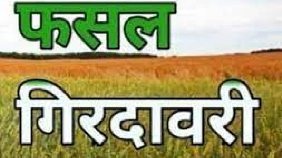 महासमुन्द : प्रथम चरण के सत्यापित गिरदावरी प्रविष्टियों का ... - CG Sandesh