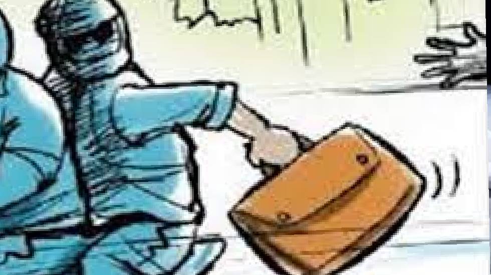 खल्लारी : माईक्रो फाईनेंश कंपनी के कर्मचारी का बैग झपटकर ले ... - CG Sandesh
