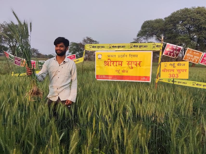 बदलते मौसम में भी श्रीराम सुपर 1 एसआर 14 और 303 गेहूं बीज से... - CG Sandesh