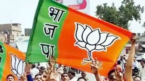हसदेव बागो में पेड़ों के कत्लेआम पर जवाब दें भूपेश- सिंहदेव : भाजपा