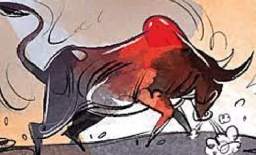 सांड के हमले से बुजुर्ग की मौत, पशु चिकित्सा कल्याण अधिकारी ... - CG Sandesh