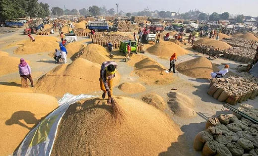 अब तक 82.44 लाख मीट्रिक टन धान की खरीदी, 3100 मिलेगा दाम, किसानों को 17,773 करोड़ का भुगतान