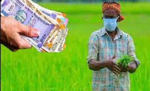 किसानों को पीएम किसान योजना के तहत 2 की जगह मिल सकती है 3 हज... - CG Sandesh