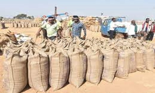 पिथौरा : खेतों का रकबा बढ़ाकर 2 करोड़ की धान खरीदी मामले में ... - CG Sandesh
