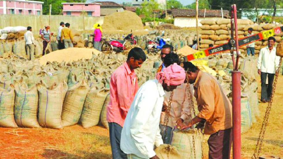 CG : समर्थन मूल्य पर हो चुकी 50 लाख मीट्रिक टन धान की खरीदी - CG Sandesh