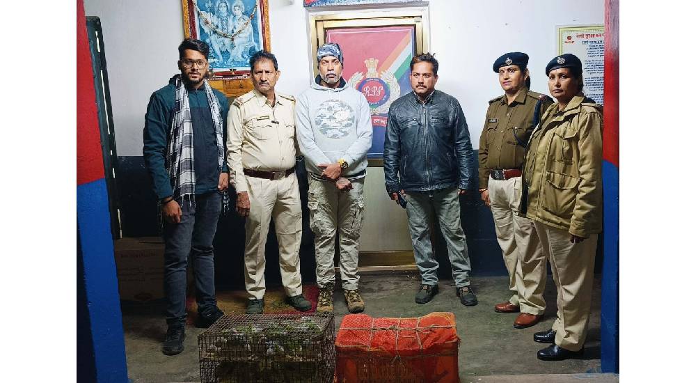 CG : तोता तस्करी का आरोपी गिरफ्तार - CG Sandesh