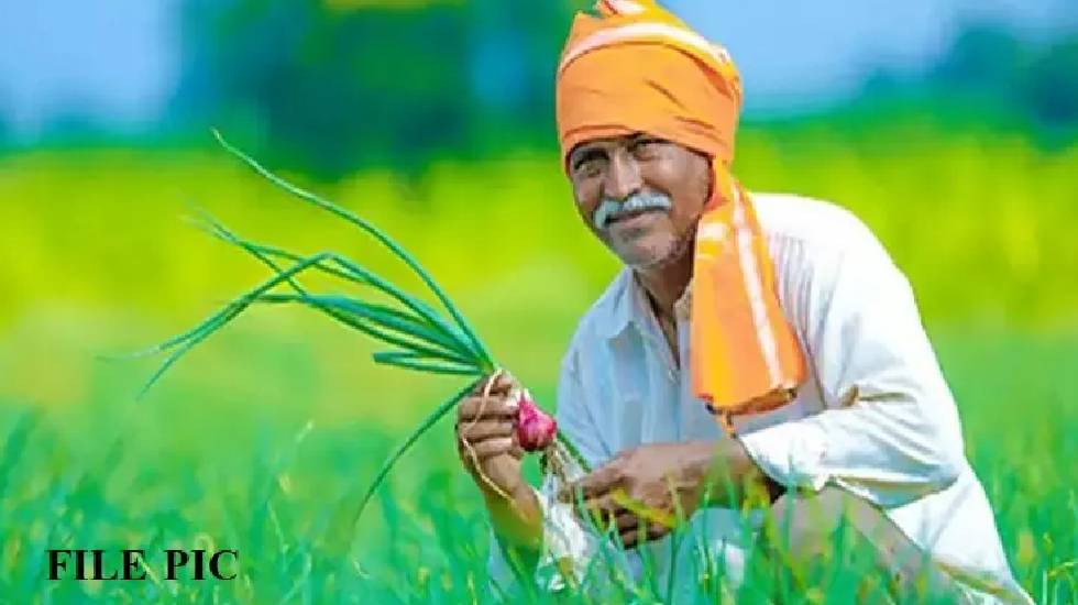 राज्य के सभी ब्लॉक मुख्यालयों में किसान सम्मेलन एवं कृषि संग... - CG Sandesh