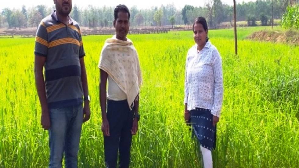 आत्मा योजना : उन्नत कृषि तकनीक को अपनाकर चैतू नेताम बना सफल ... - CG Sandesh