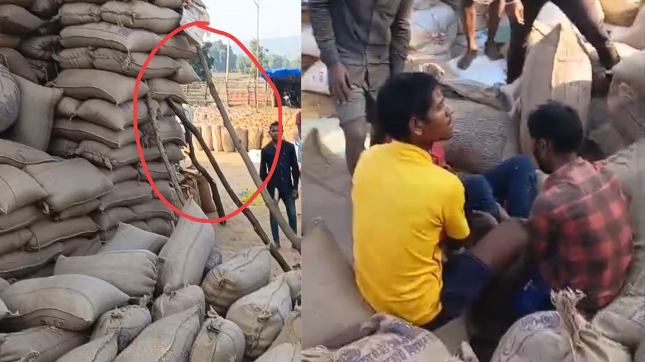 CG : धान मंडी केंद्र में बड़ी लापरवाही, धान बोरी छल्ली गिरने... - CG Sandesh