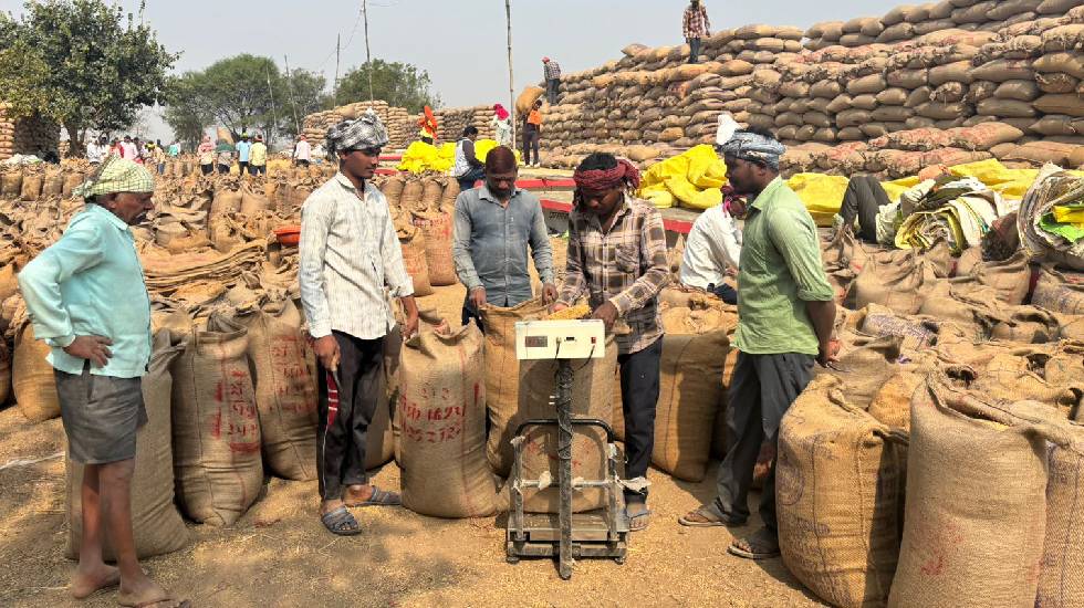महासमुंद : जिले में अब तक 182 उपार्जन केंद्रों में 64029 किस... - CG Sandesh