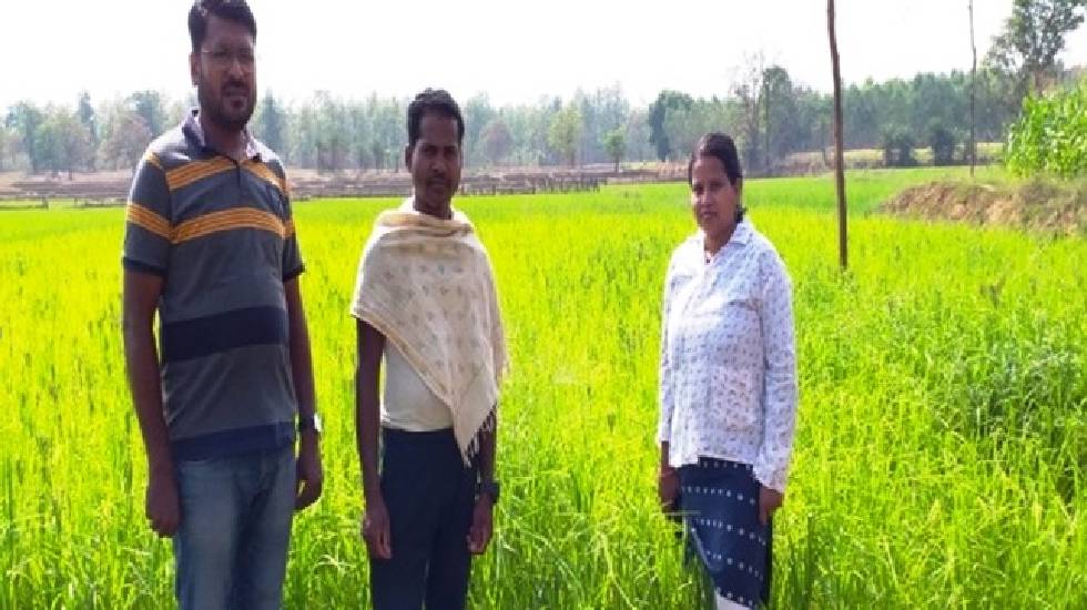 CG : आत्मा योजना : उन्नत कृषि तकनीक को अपनाकर चौतू नेताम बना... - CG Sandesh