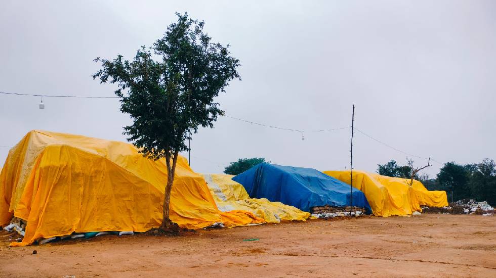 महासमुंद : बारिश की संभावना को देखते हुए धान बचाव की सुरक्षा... - CG Sandesh