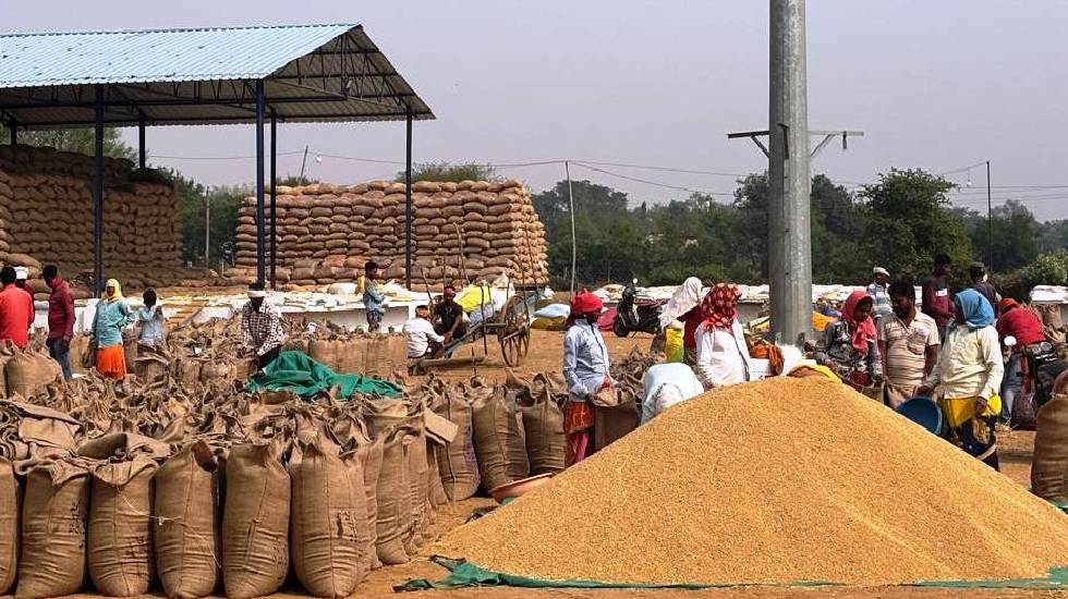 महासमुंद : जिले में अब तक 182 उपार्जन केंद्रों के माध्यम से ... - CG Sandesh
