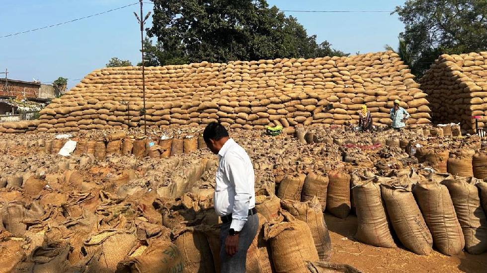 महासमुंद : अब तक 84475 किसानों से 451951.8 टन धान खरीदा गया - CG Sandesh