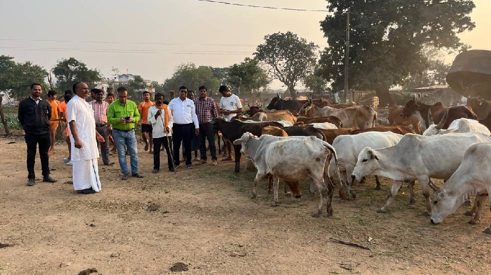 महासमुंद : ग्राम कोसरंगी में गौ पूजन कार्यक्रम एवं निःशुल्क ... - CG Sandesh
