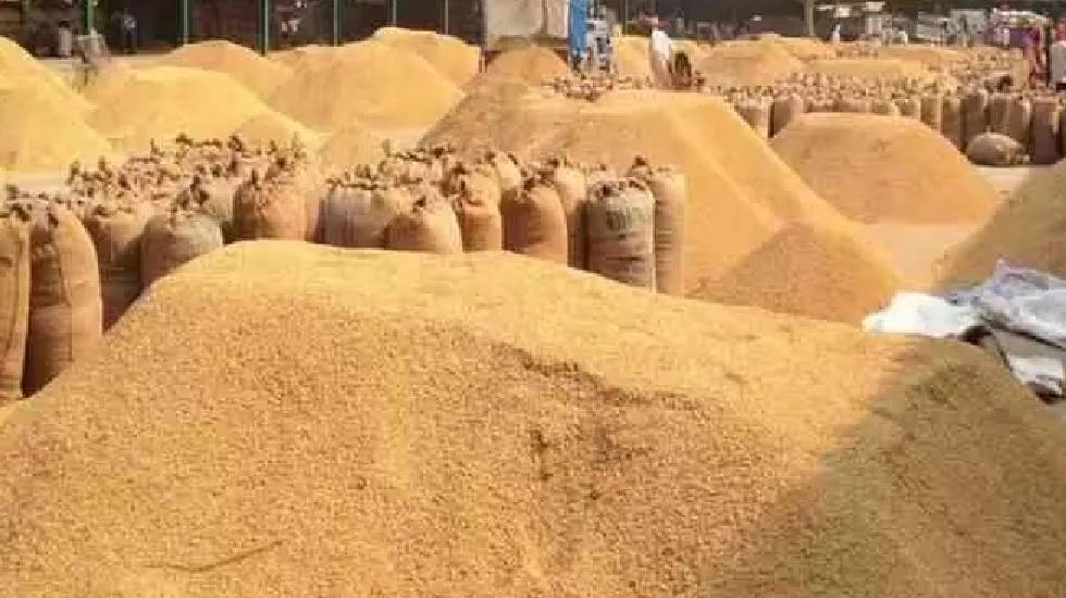 टोकन सत्यापन के अभाव में धान खरीदी का कार्य प्रभावित होने पर... - CG Sandesh