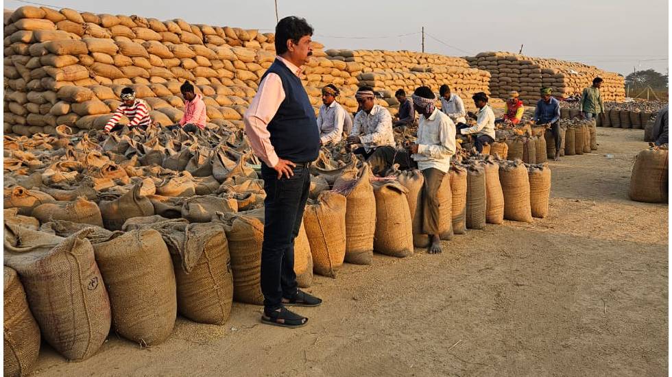 महासमुंद : अब तक 77503 किसानों से 407016.64 टन धान खरीदा गया - CG Sandesh