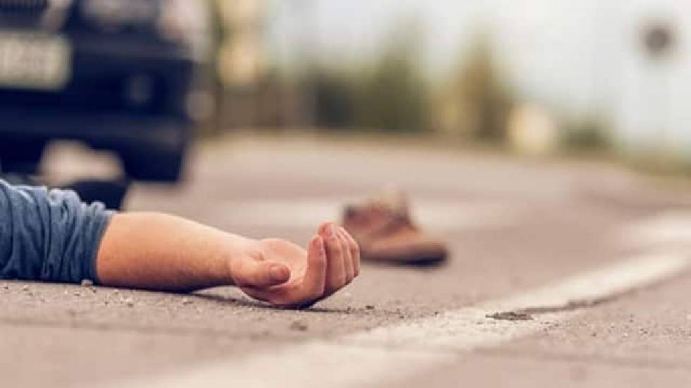 तुमगाँव : सड़क हादसे में 2 भैंस और उन्हें धोने ले जा रहे व्यक... - CG Sandesh