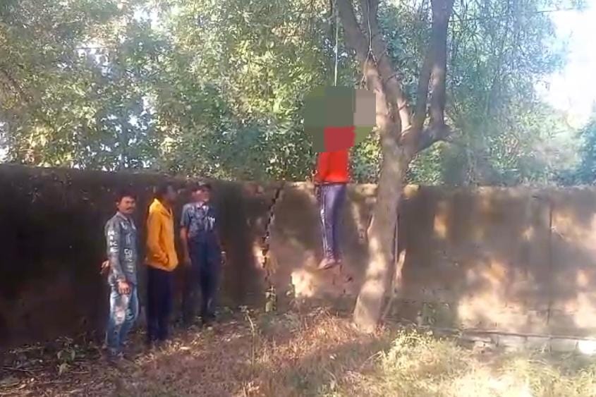 CG : पेड़ पर फंदे से लटकती मिली युवक की लाश, आत्महत्या का का... - CG Sandesh