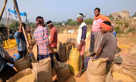77 खरीदी केंद्रों में धान का स्टॉक बफर लिमिट के पार,उठाव नहीं,खरीदी प्रभावित