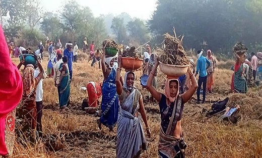 छत्तीसगढ़ के इस जिले में मनरेगा के माध्यम से 62 हजार श्रमिको... - CG Sandesh
