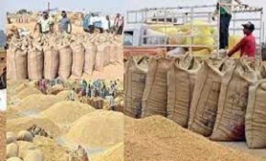 छत्तीसगढ़ निर्माण के बाद अब तक की सबसे बड़ी धान खरीदी,किसानों से 144.92 लाख टन धान की हुई रिकॉर्ड खरीदी