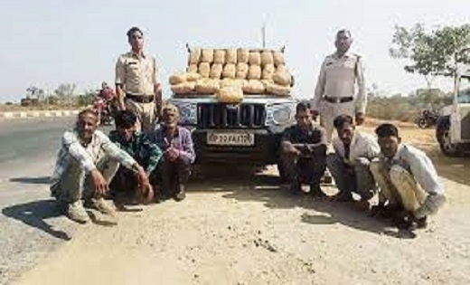 बोलेरो से 25 लाख का गांजा जब्त, पकड़ में आए 6 तस्कर